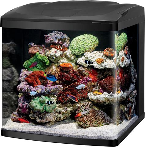 best fish for a 40 gallon tank|40 gallon high aquarium tank.